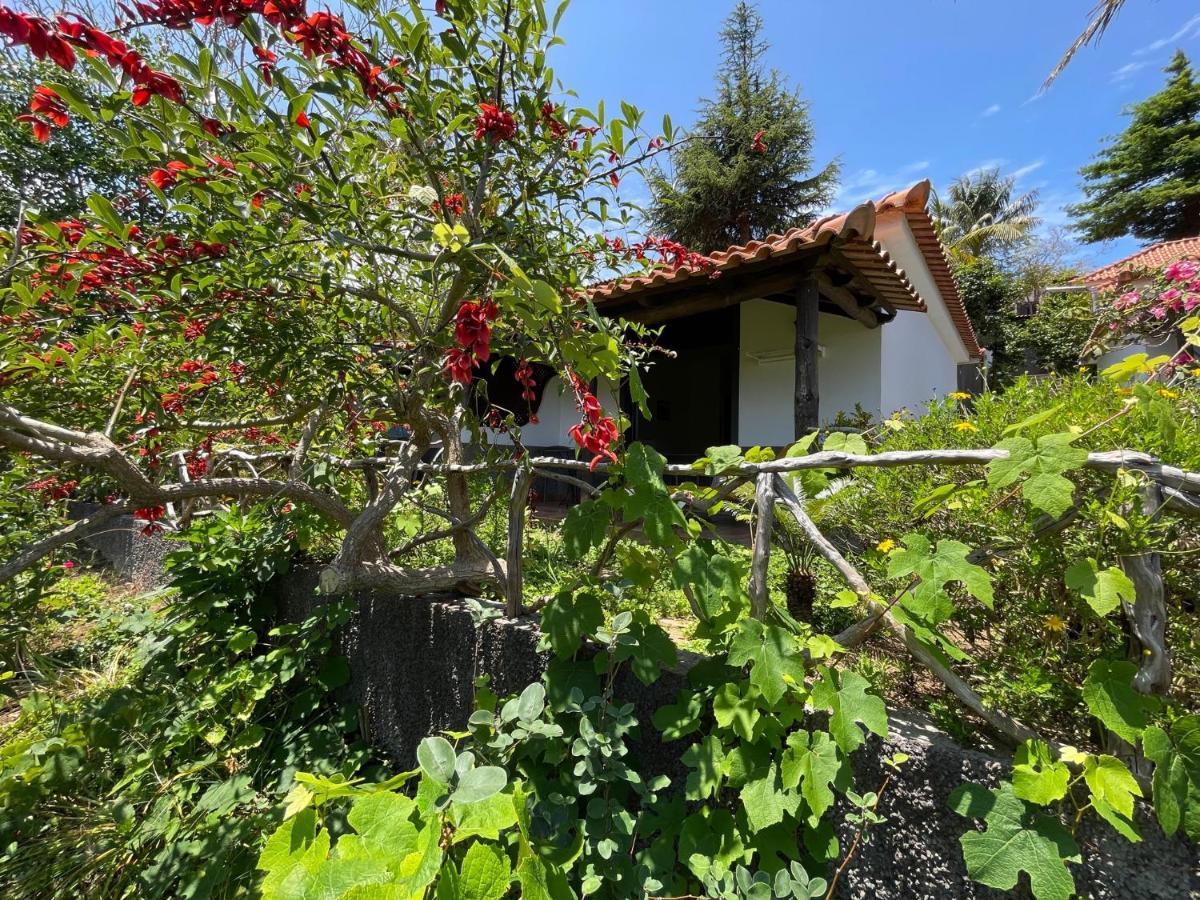 Casas De Campo Do Pomar B&B - Self Check-In Santana  Exterior photo