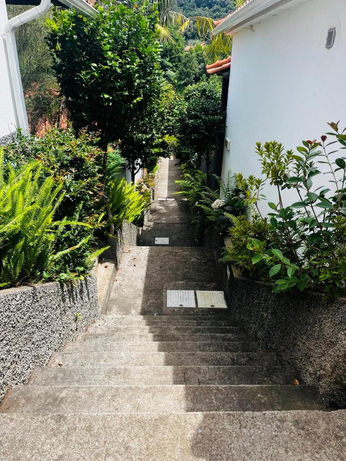 Casas De Campo Do Pomar B&B - Self Check-In Santana  Exterior photo